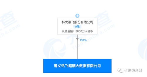 科大訊飛落戶遵義，3000萬元注資大數(shù)據(jù)新公司拓展軟件業(yè)務(wù)